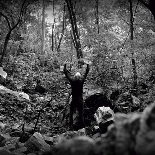 Ramificación del Alma